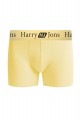 Boxer Harry Jons Pastels Pack Εμπριμε M