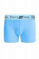 Boxer Harry Jons Pastels Pack Εμπριμε XL