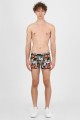 Boxer John Frank Korea - L